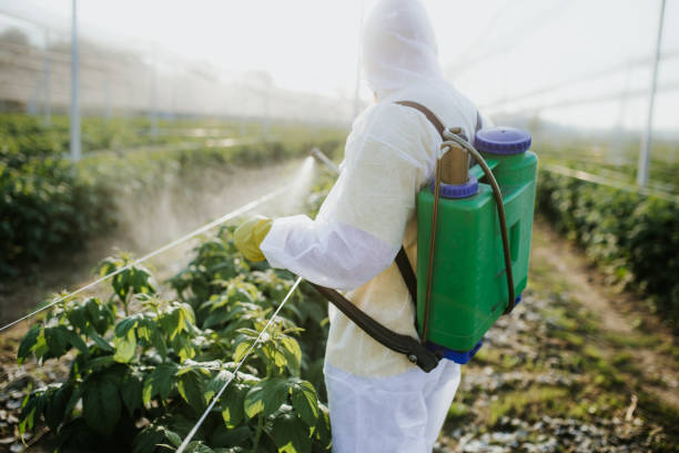 Best Commercial Pest Control Services  in Catalina, AZ